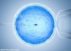 42岁PGT成功案例